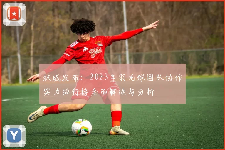 权威发布：2023年羽毛球团队协作实力排行榜全面解读与分析