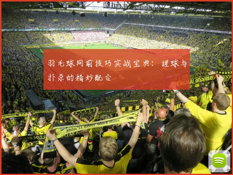 羽毛球网前技巧实战宝典：搓球与扑杀的精妙配合