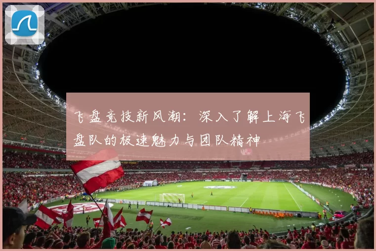 飞盘竞技新风潮：深入了解上海飞盘队的极速魅力与团队精神