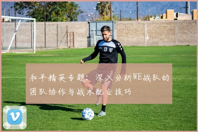 和平精英专题：深入分析WE战队的团队协作与战术配合技巧