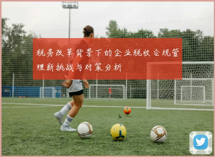 税务改革背景下的企业税收合规管理新挑战与对策分析
