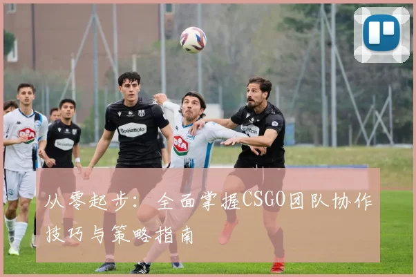 从零起步：全面掌握CSGO团队协作技巧与策略指南