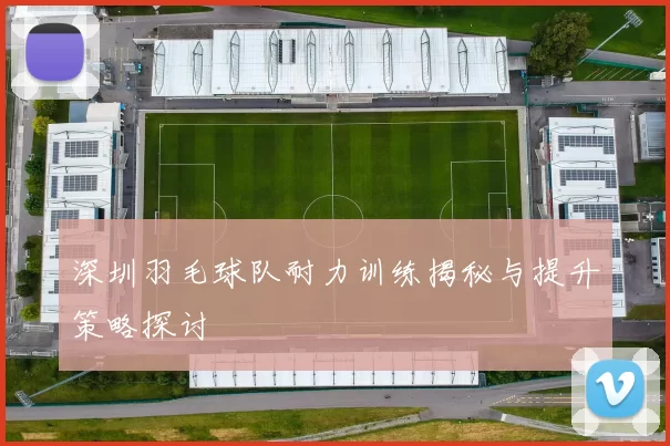 深圳羽毛球队耐力训练揭秘与提升策略探讨