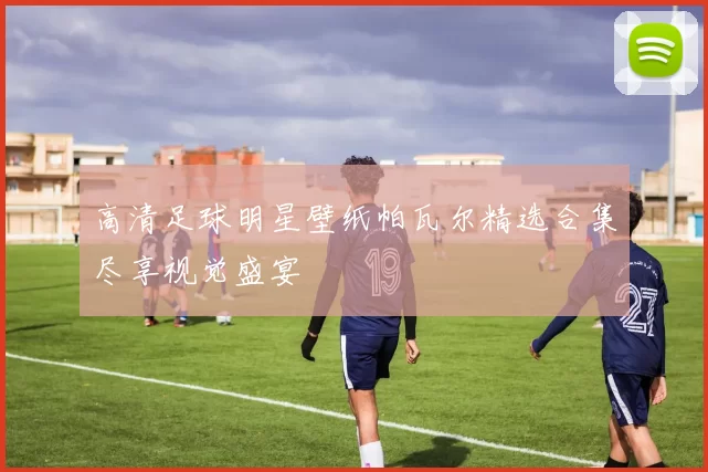 高清足球明星壁纸帕瓦尔精选合集尽享视觉盛宴