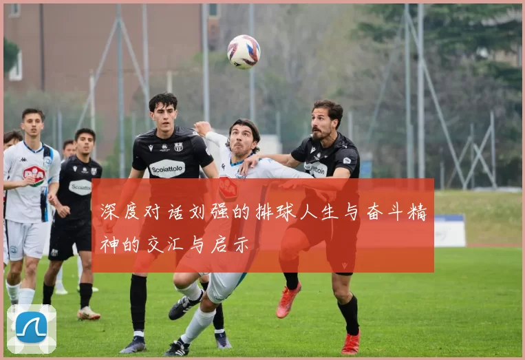 深度对话刘强的排球人生与奋斗精神的交汇与启示