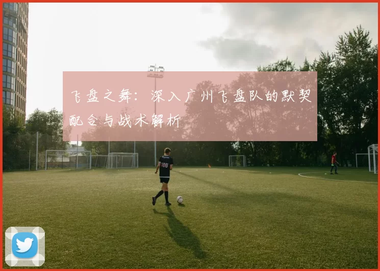 飞盘之舞：深入广州飞盘队的默契配合与战术解析