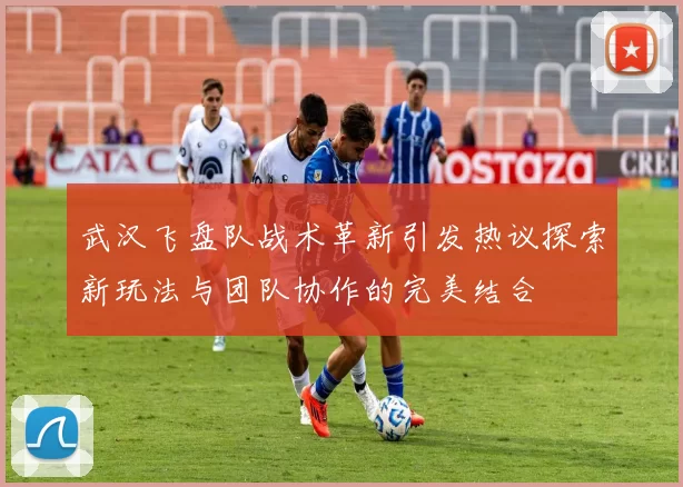 武汉飞盘队战术革新引发热议探索新玩法与团队协作的完美结合