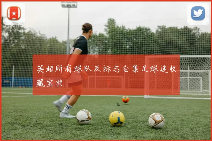 英超所有球队及标志合集足球迷收藏宝典