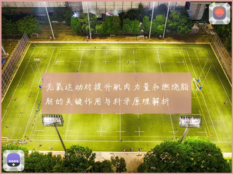 无氧运动对提升肌肉力量和燃烧脂肪的关键作用与科学原理解析
