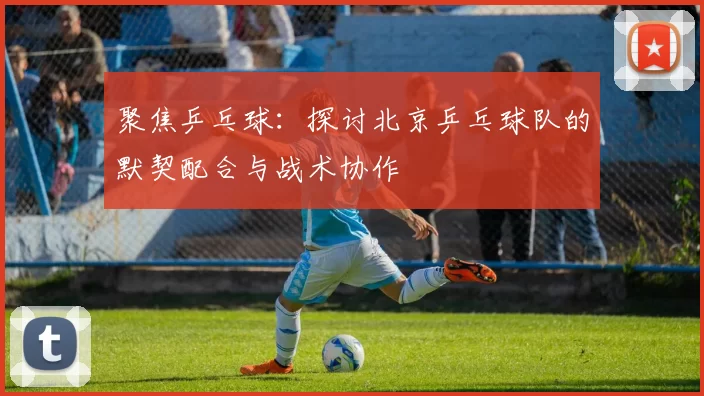 聚焦乒乓球：探讨北京乒乓球队的默契配合与战术协作