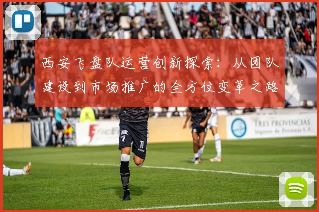 西安飞盘队运营创新探索：从团队建设到市场推广的全方位变革之路