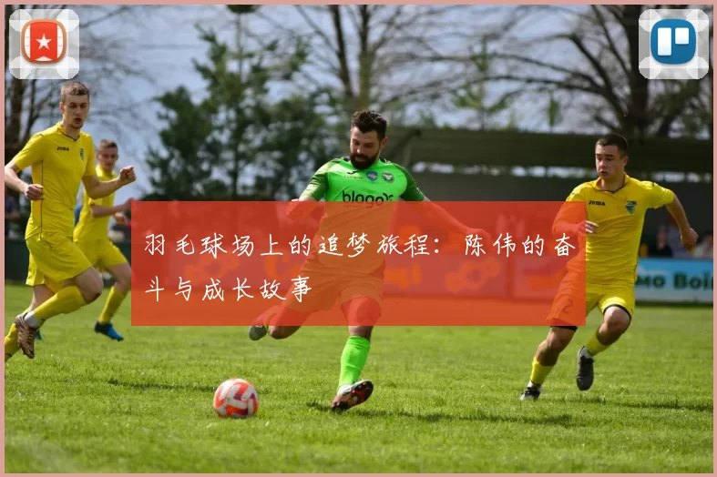 羽毛球场上的追梦旅程：陈伟的奋斗与成长故事