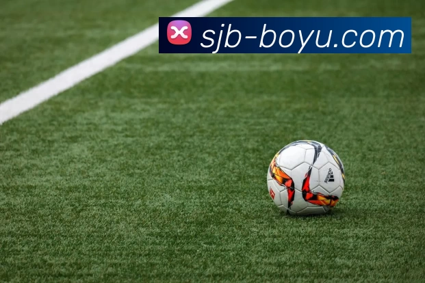 博鱼体育品牌故事