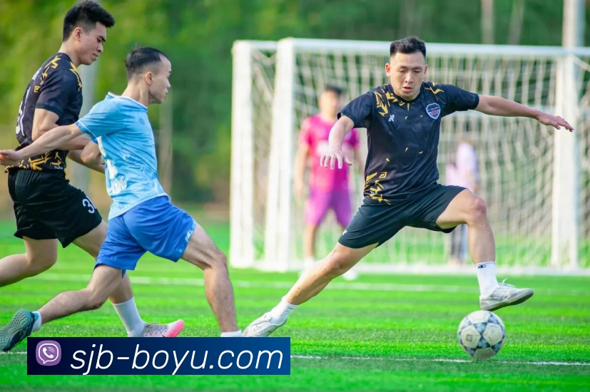 博鱼体育服务体系